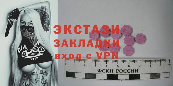 индика Каменногорск