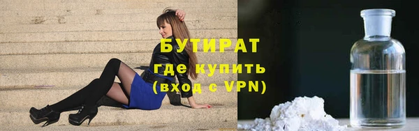 индика Каменногорск