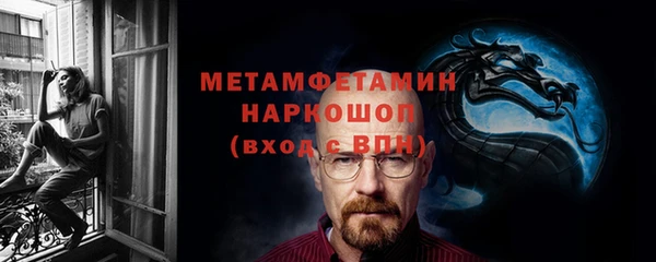 индика Каменногорск