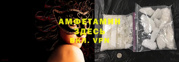 индика Каменногорск