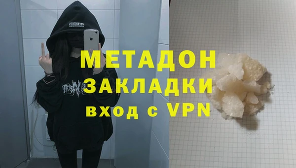индика Каменногорск