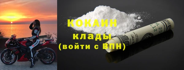 индика Каменногорск