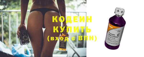 прущие крисы Каменка