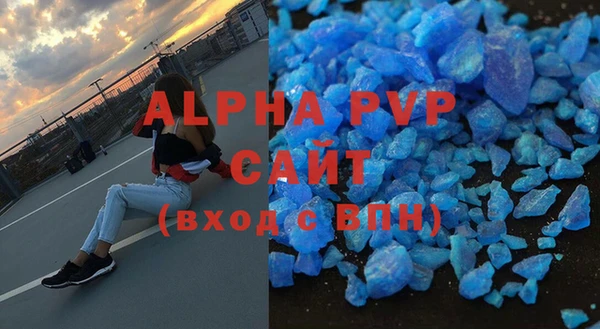 индика Каменногорск