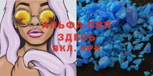 индика Каменногорск