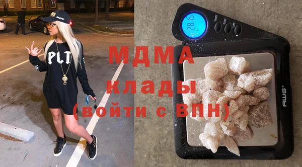 индика Каменногорск