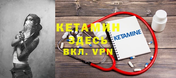 индика Каменногорск