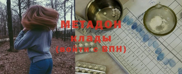 индика Каменногорск