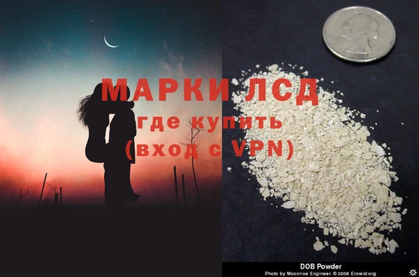 индика Каменногорск
