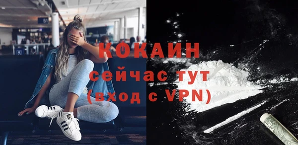 прущие крисы Каменка