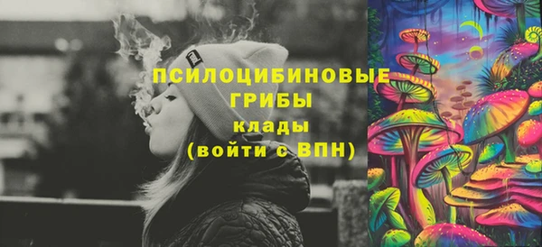 индика Каменногорск