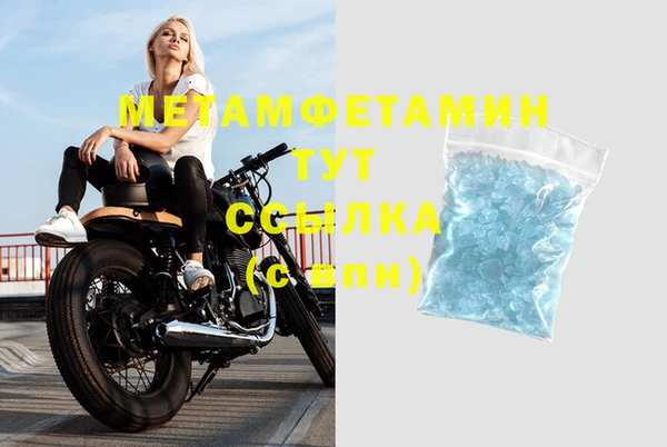 индика Каменногорск