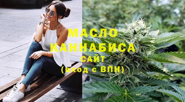 индика Каменногорск