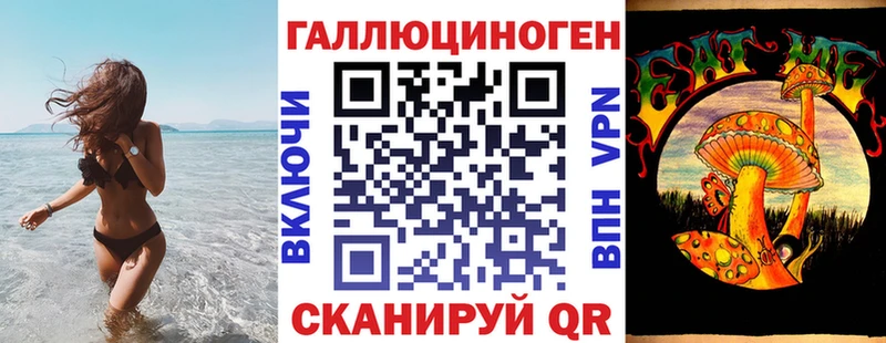 Галлюциногенные грибы Psilocybe  купить   Грозный 