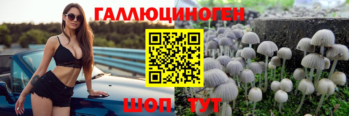 где найти наркотики  Галлюциногенные грибы мицелий  Грозный  Вход с VPN  Галлюциногенные грибы мицелий 